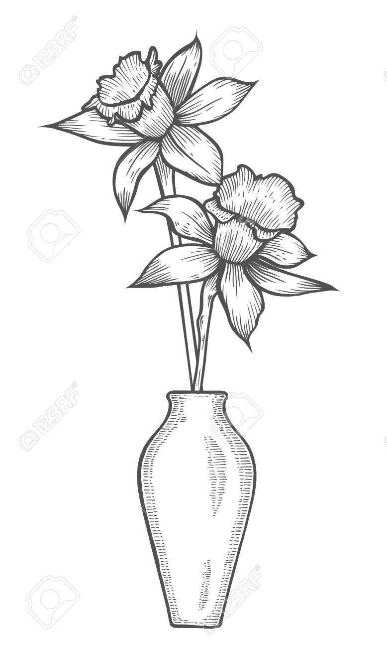 Vase With Daffodil Flowers Linear Hand Drawn Vector Sketch Engraved pertaining to size 778 X 1300