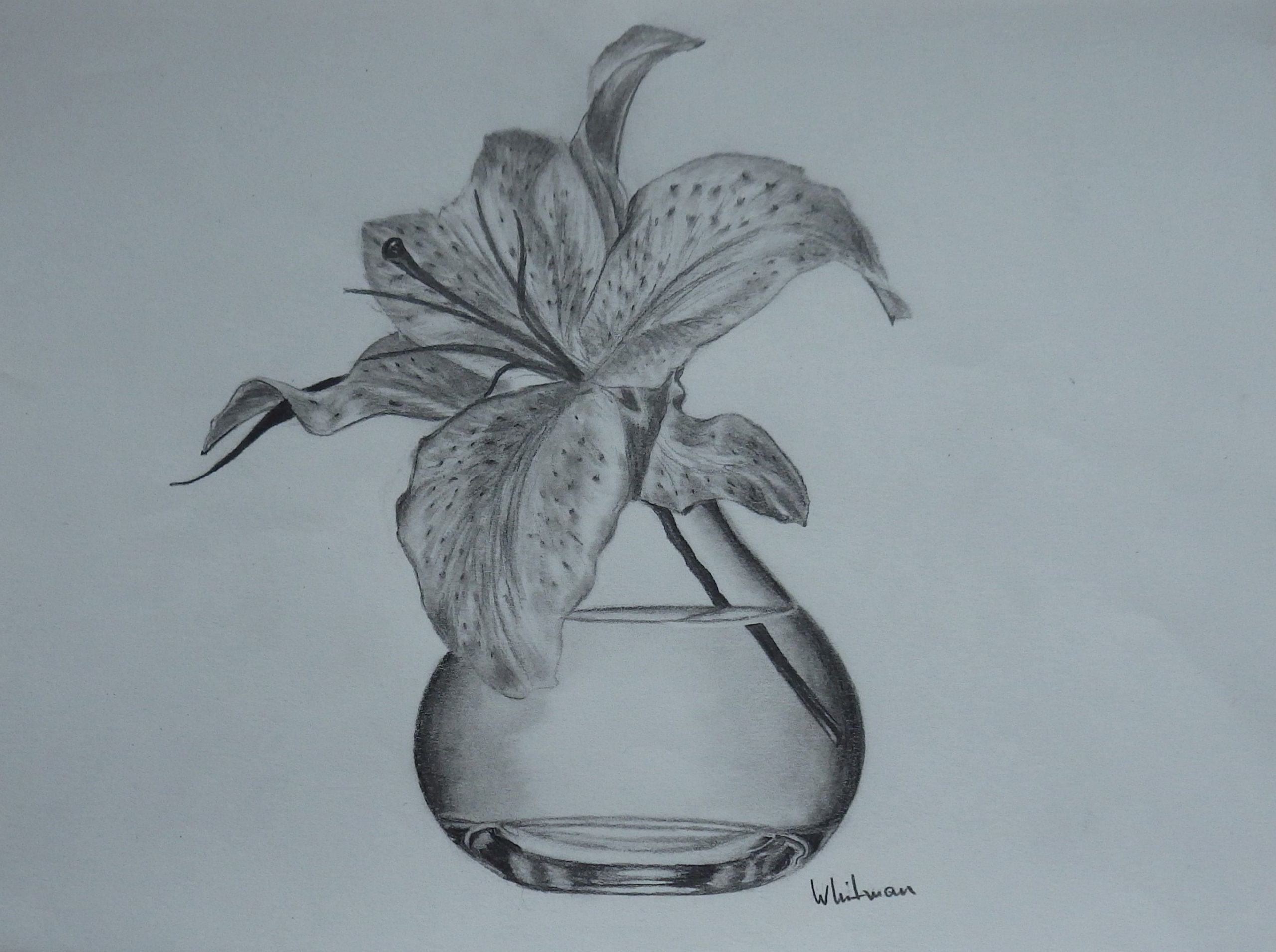 Vase With Flower Drawing At Getdrawings Free For with size 2725 X 2033