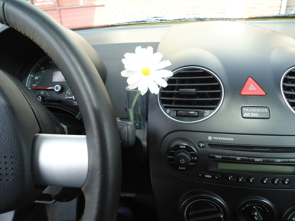 Volkswagen Beetle Interior Flower Wallpaper 1024x768 41078 within measurements 1024 X 768