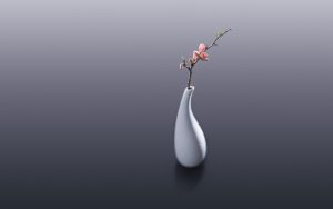 Wallpapers Hd Flower Vase throughout proportions 3200 X 2000