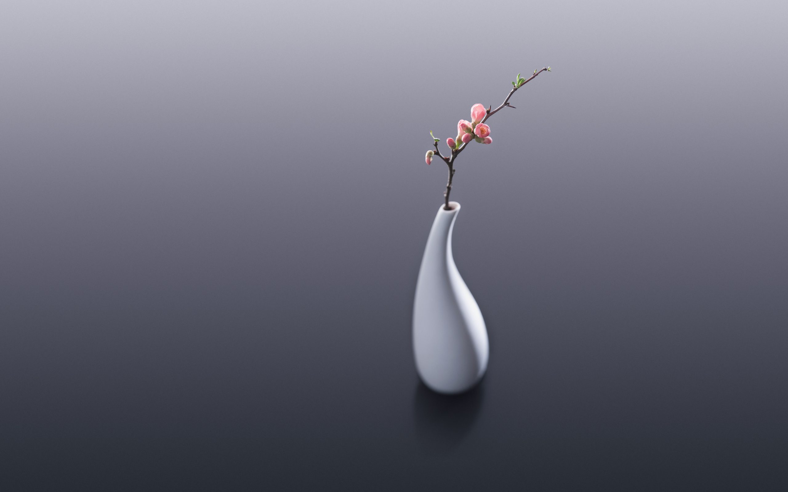 Wallpapers Hd Flower Vase throughout proportions 3200 X 2000