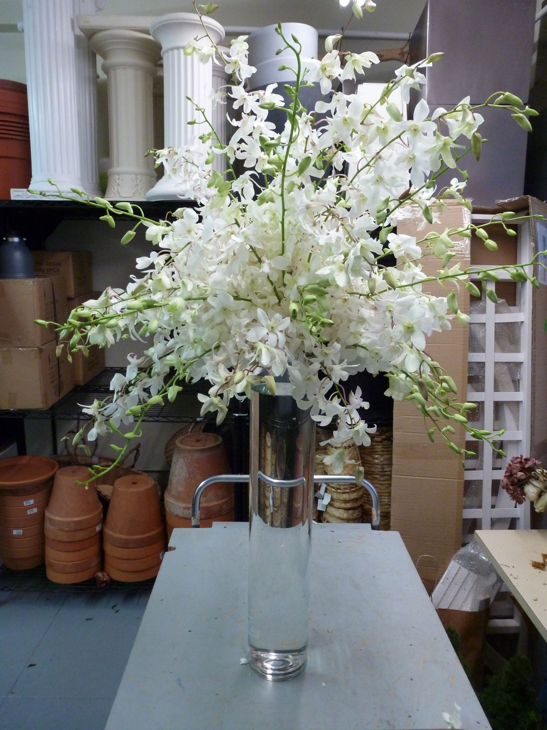 White Dendrobium Orchid Spray Resting Atop A Tall Vase To with regard to proportions 3240 X 4320