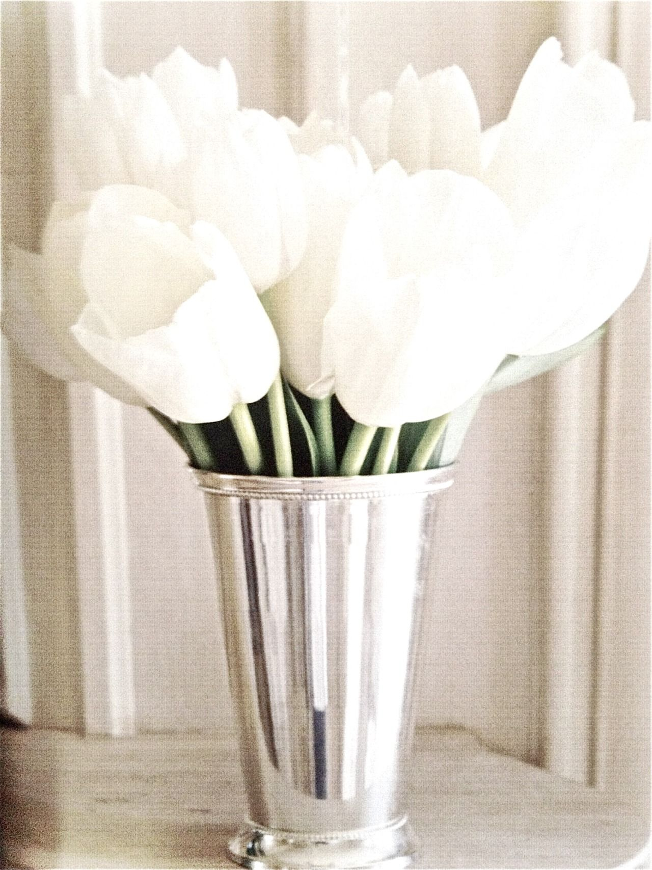 White Tulips In A Silver Mint Julep Cup For Centerpieces intended for sizing 1280 X 1707